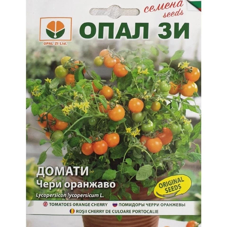 Български Хибридни Домати И Селекция ДОМАТИ ЧЕРИ ОРАНЖЕВО