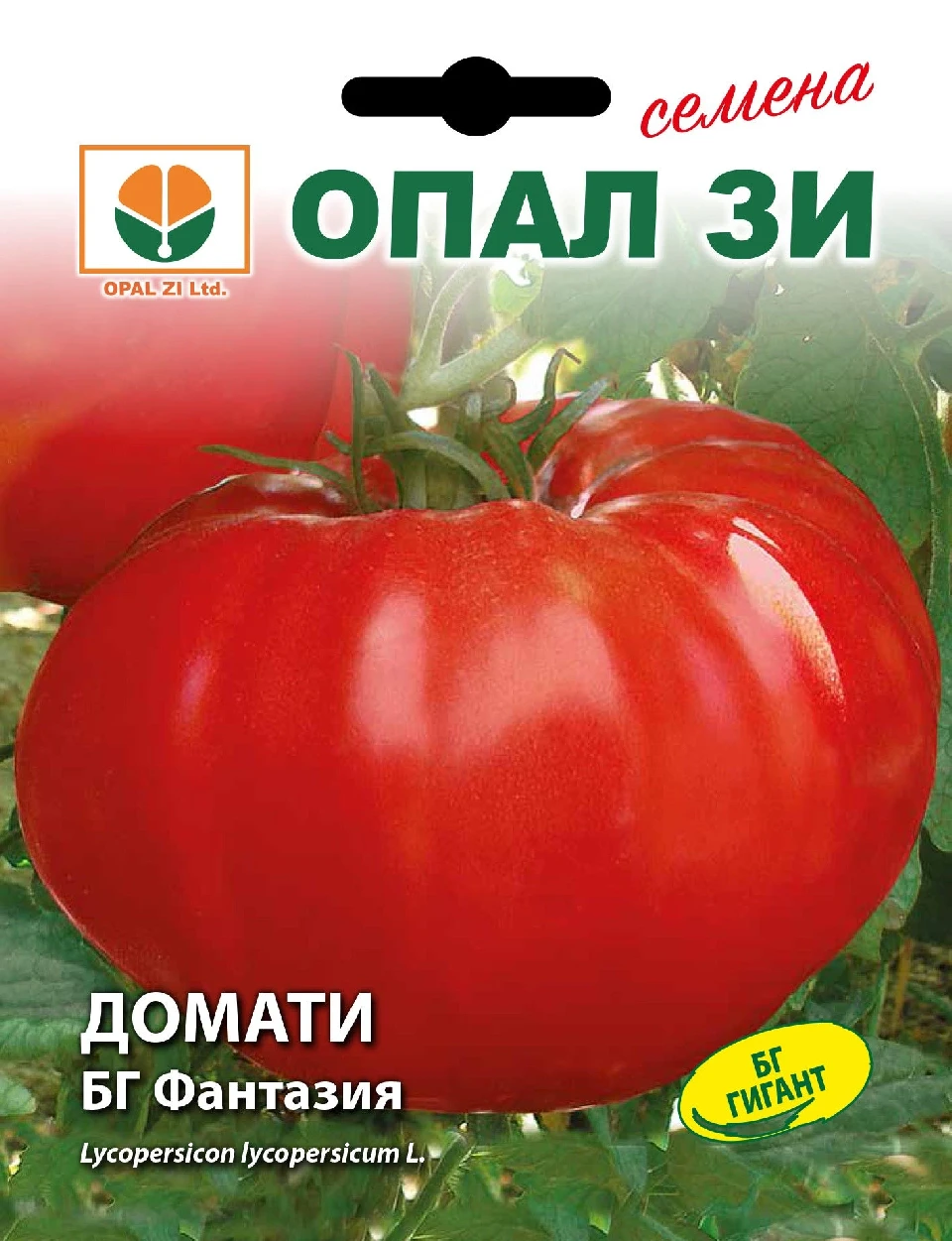 Български Хибридни Домати И Селекция Домати Фантазия