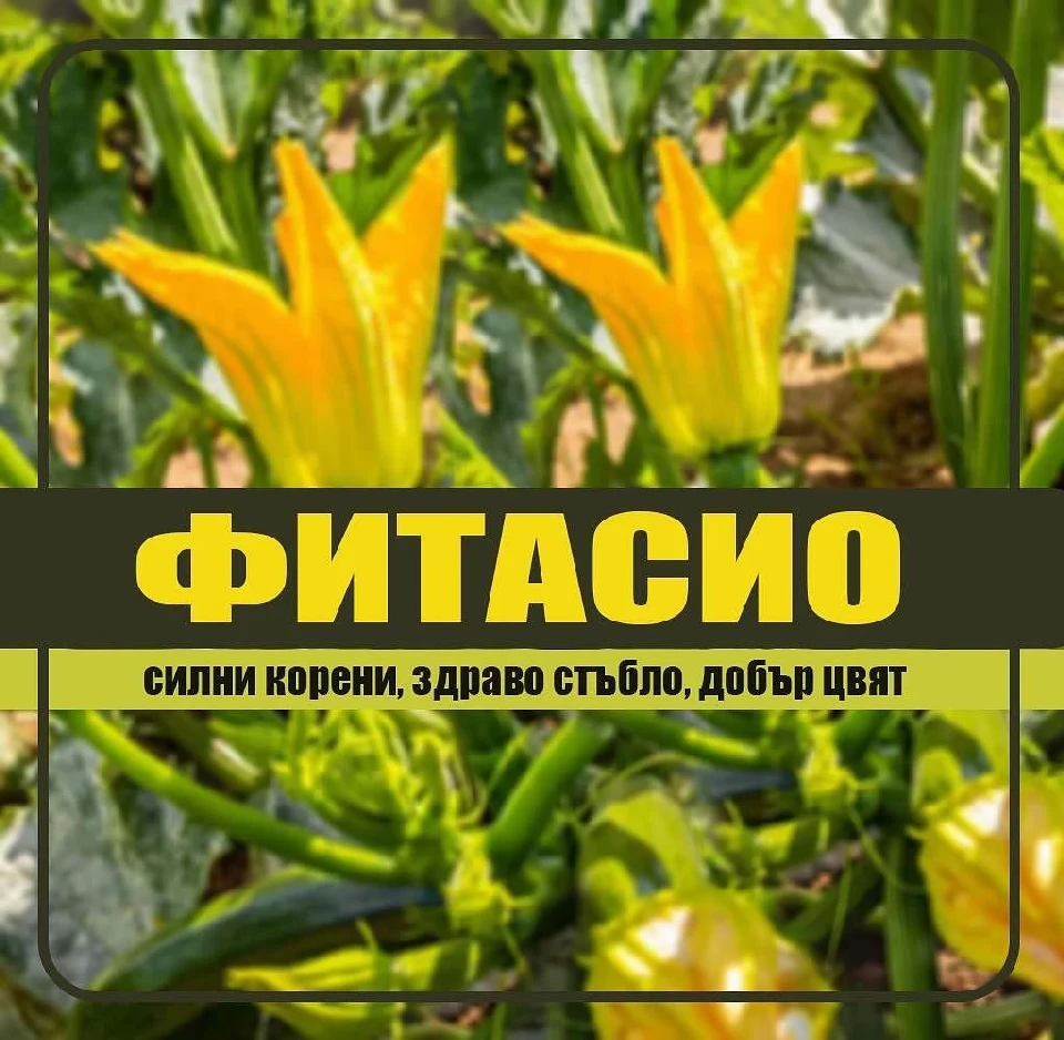 Био препарати Фитасио