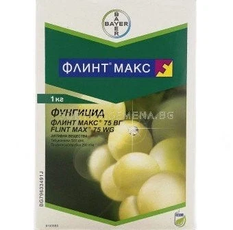 Фунгициди Флинт Макс