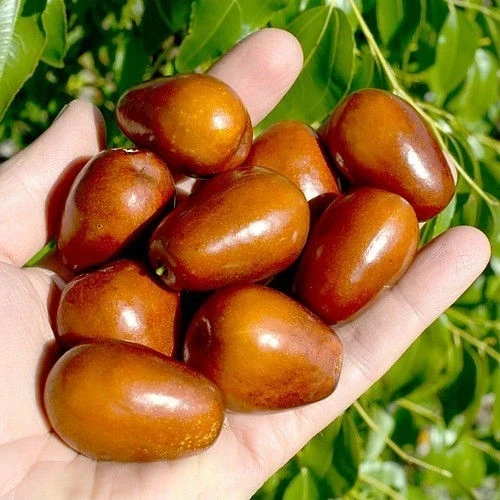 Хинап ХИНАП ЛАНГ
