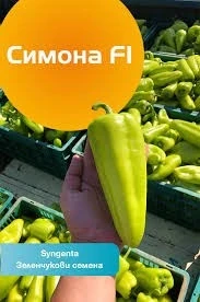 Пипер Симона F1