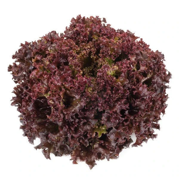 Салати САЛАТА CARNELIAN (КАРНЕЛИАН)