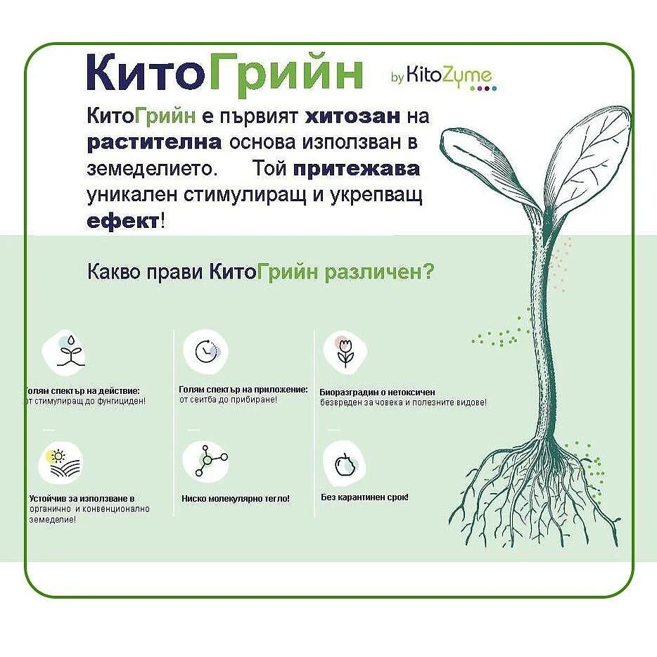 Био препарати КитоГрийн мастър