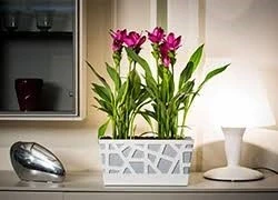 Сандъчета  Mosaic Flowerbox 40