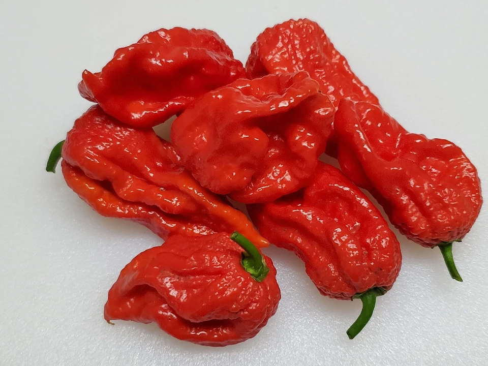 Люти чушки Люти чушки Нага Морич | Naga Morich Red