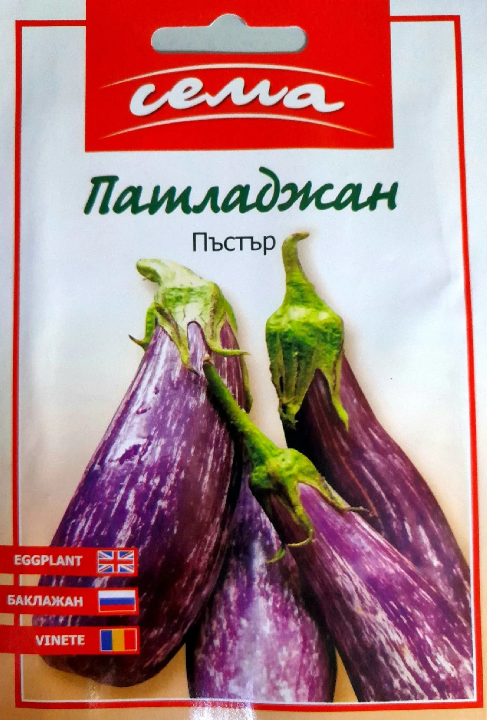 Патладжан Патладжан Пъстър