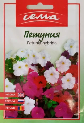 Едногодишни Петуния