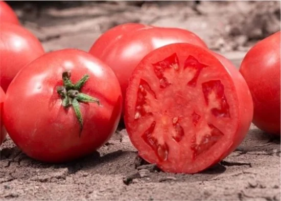 Домати Домати Хепинет F1