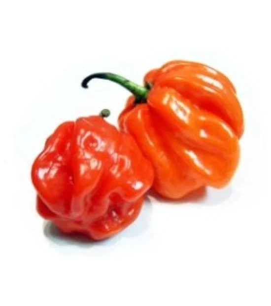 Домати Хепинет F1