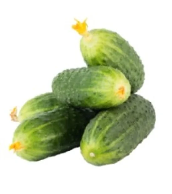 Домати Домати розетано F1 /  Rosetano F1