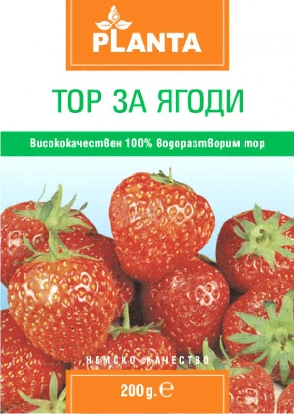 Специализирани торове Тор за ягоди
