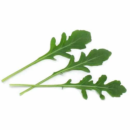 Бейби салатни миксове РУКОЛА FAST GROW / БЕЙБИ /