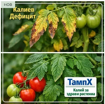 Био препарати ТАМП Х