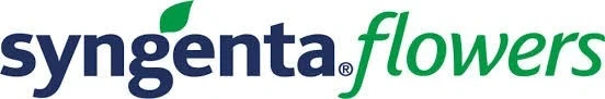 Професионални семена за цветя SYNGENTA