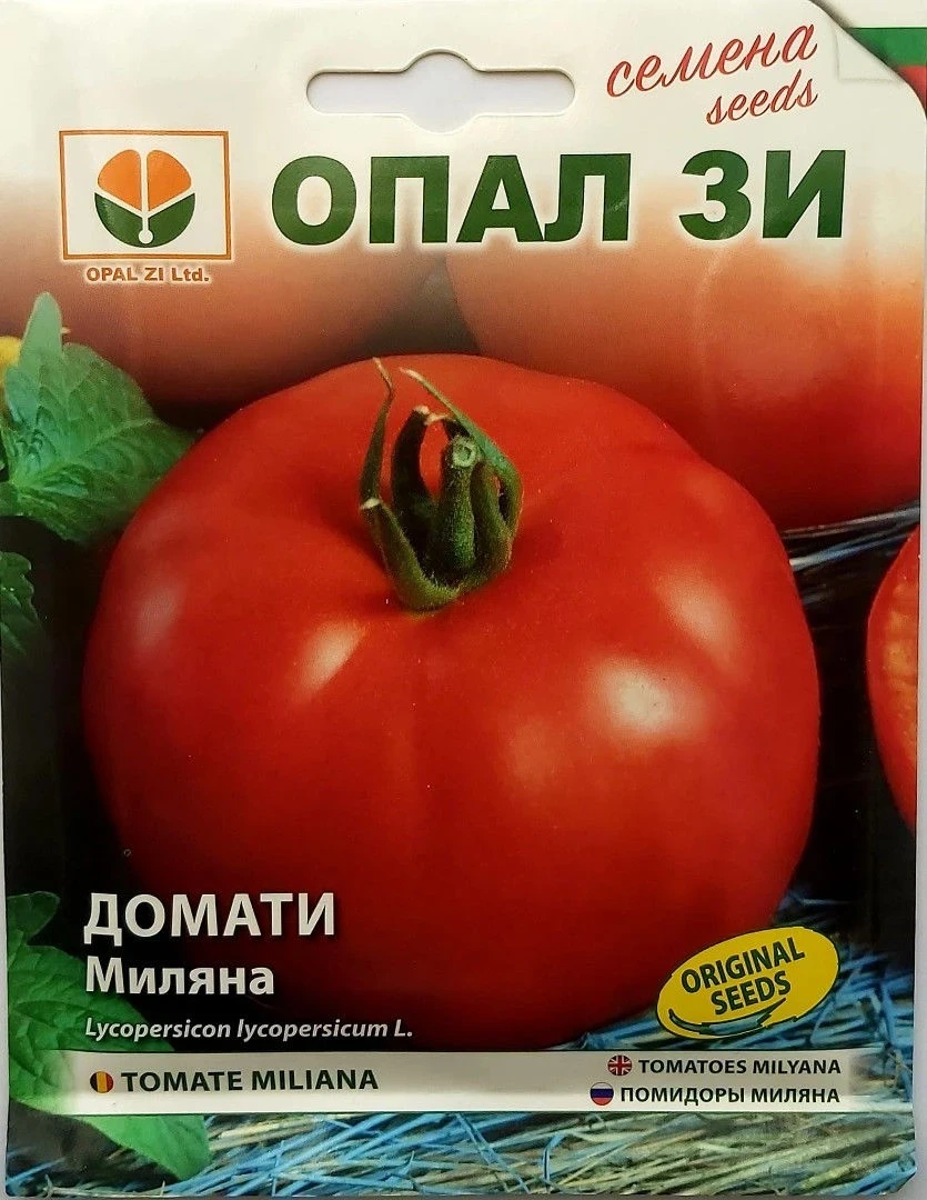 Български Хибридни Домати И Селекция ДОМАТИ МИЛЯНА