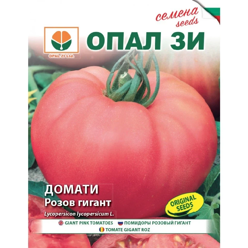Български Хибридни Домати И Селекция ДОМАТИ РОЗОВ ГИГАНТ