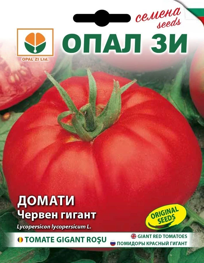 Български Хибридни Домати И Селекция ДОМАТИ ЧЕРВЕН ГИГАНТ