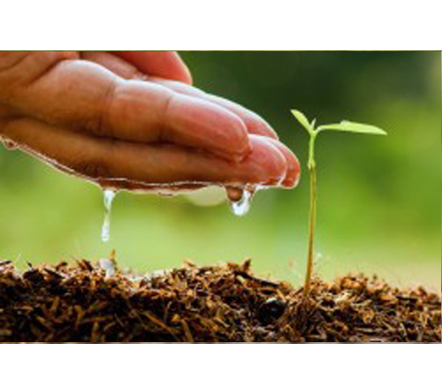 Fertiplant