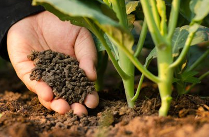 Органични торове